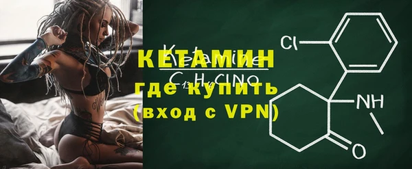 прущие грибы Осинники