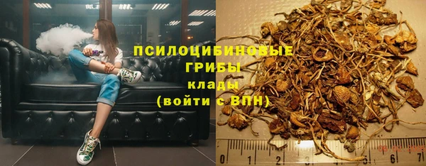 прущие грибы Алексин
