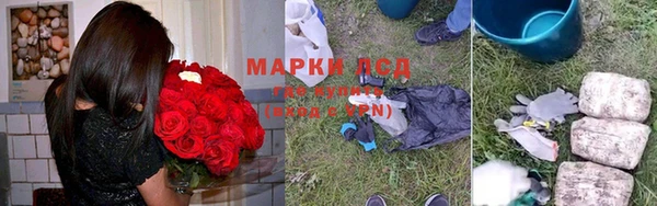 прущие грибы Алексин