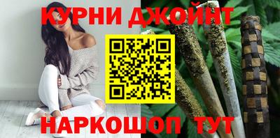 индика Дубна