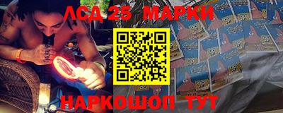 прущие грибы Донской