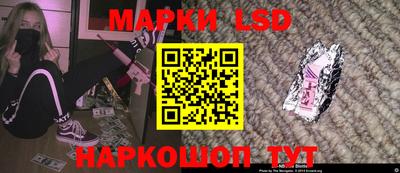 прущие грибы Донской