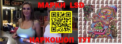 прущие грибы Донской