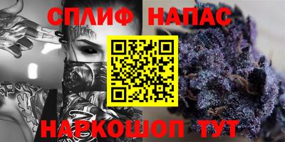 индика Дубна