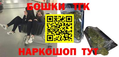 индика Дубна