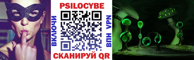 Галлюциногенные грибы Psilocybe  закладка  Нижний Новгород 