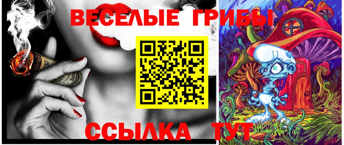 Галлюциногенные грибы ЛСД  купить наркотики сайты  Псилоцибиновые грибы ЛСД  Нижний Новгород  Вход с VPN 