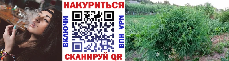 Бошки марихуана план наркотики Нижний Новгород